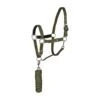 Horze Chicago Halter And Lead Rope - Cyrpess Green/Loden Green -Equestrian Supplies Sale 386336 800 800