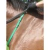 Nunn Finer Nylon Neck Grab Strap - Kelly Green -Equestrian Supplies Sale 400279 800 800