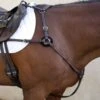 Nunn Finer 5-Way Hunting Breastplate With Elastic - Havana/Zinc -Equestrian Supplies Sale 402811 800 800