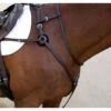 Nunn Finer Breastplate Attachment With Neck Strap - Havana/Brass 2 Nunn Finer Breastplate Attachment With Neck Strap - Havana/Brass -Equestrian Supplies Sale 403145 800 800