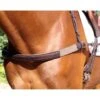 Nunn Finer Jumper Breastplate - Havana/Zinc 1 Nunn Finer Jumper Breastplate - Havana/Zinc -Equestrian Supplies Sale 403795 800 800