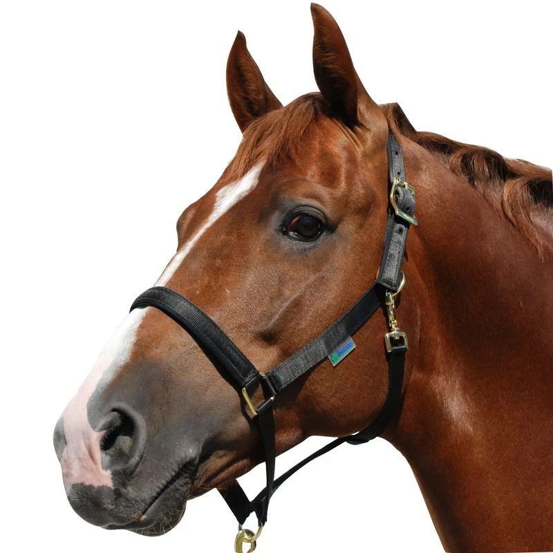 Bucas Dublin Halter - Black 3 Bucas Dublin Halter - Black