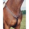Nunn Finer All Purpose Breastplate - Havana/Brass -Equestrian Supplies Sale 408869 800 800