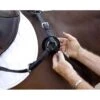 Nunn Finer Replacement Breastplate Fleece - Natural -Equestrian Supplies Sale 408979 800 800