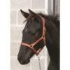 Western Rawhide Suckling Leather Halter - Brown -Equestrian Supplies Sale 443794 800 800