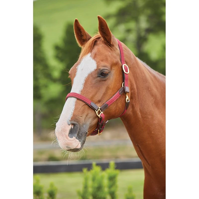 Kincade Braided Leather Breakaway Headcollar - Maroon 3 Kincade Braided Leather Breakaway Headcollar - Maroon