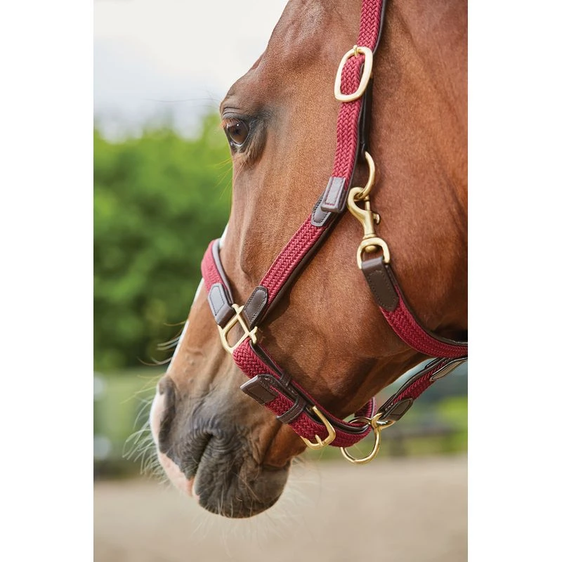 Kincade Braided Leather Breakaway Headcollar - Maroon 4 Kincade Braided Leather Breakaway Headcollar - Maroon - Image 2