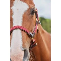 Kincade Braided Leather Breakaway Headcollar - Maroon 8 Kincade Braided Leather Breakaway Headcollar - Maroon -Equestrian Supplies Sale 458811 800 800