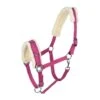 Horze Lunging Cavesson - Raspberry Pink -Equestrian Supplies Sale 479600 800 800
