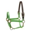 Perri's Nylon Safety Halter - Lime -Equestrian Supplies Sale 500432 800 800