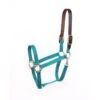 Perri's Economy Nylon Safety Halter - Turquoise 1 Perri's Economy Nylon Safety Halter - Turquoise -Equestrian Supplies Sale 502027 800 800