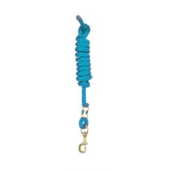Perri's 5/8" Nylon Lead W/Snap - Turquoise