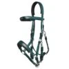 Zilco Marathon Endurance Bridle - Hunter Green 2 Zilco Marathon Endurance Bridle - Hunter Green -Equestrian Supplies Sale 548522 800 800