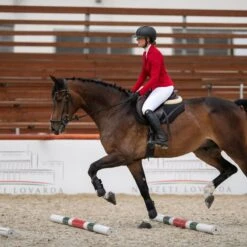 Cavalliera Women's Primetime Show Jacket - Ruby Red -Equestrian Supplies Sale 559135 800 800