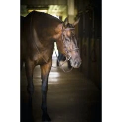 Perri's Pro Fancy Stitched Hunter Bridle - Havana -Equestrian Supplies Sale 591900 800 800