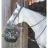 Nunn Finer German Martingale Rein Set - Havana -Equestrian Supplies Sale 672505 800 800