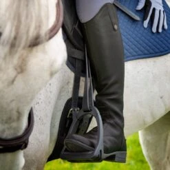 Shires Moretta Women's Gianna Leather Field Boots - Black -Equestrian Supplies Sale 685195 800 800