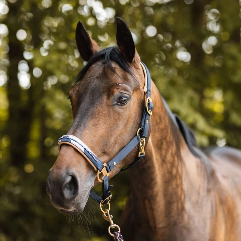 Horze Terrazzo Neoprene Lined Halter With Crystals - Dark Navy 4 Horze Terrazzo Neoprene Lined Halter With Crystals - Dark Navy - Image 2