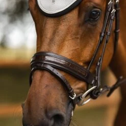 Horze Smoky Twilight Anatomic Bridle W/Curved Browband - Dark Brown -Equestrian Supplies Sale 695998 800 800